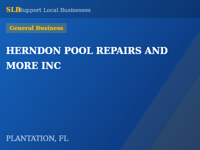 HERNDON POOL REPAIRS AND MORE INC — General Business in PLANTATION, FL