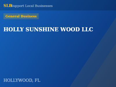 HOLLY SUNSHINE WOOD LLC — General Business in HOLLYWOOD, FL