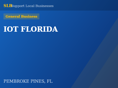IOT FLORIDA — General Business in PEMBROKE PINES, FL