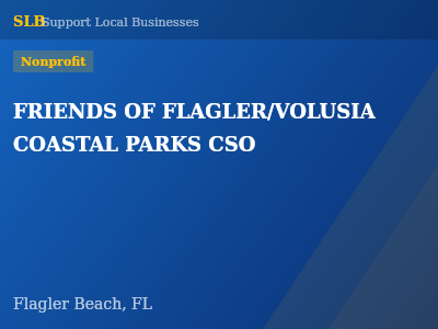 FRIENDS OF FLAGLER/VOLUSIA COASTAL PARKS CSO — Nonprofit in Flagler Beach, FL