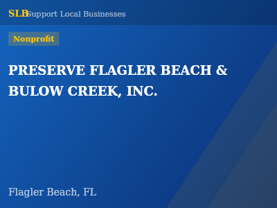 PRESERVE FLAGLER BEACH & BULOW CREEK, INC. — Nonprofit in Flagler Beach, FL