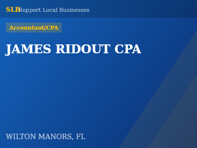 JAMES RIDOUT CPA — Accountant/CPA in WILTON MANORS, FL