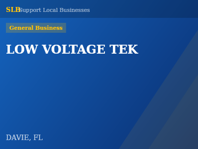 LOW VOLTAGE TEK — General Business in DAVIE, FL