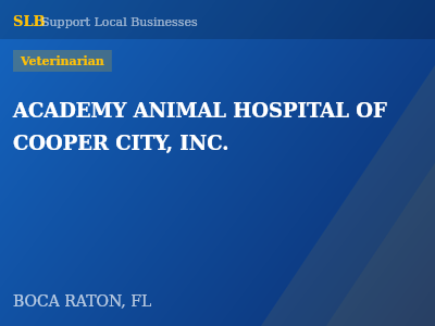 ACADEMY ANIMAL HOSPITAL OF COOPER CITY, INC. — Veterinarian in BOCA RATON, FL
