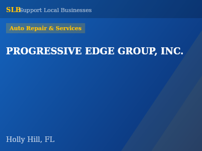 PROGRESSIVE EDGE GROUP, INC. — Auto Repair & Services in Holly Hill, FL