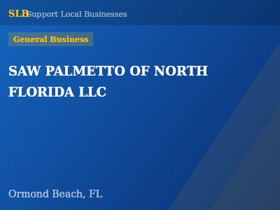 SAW PALMETTO OF NORTH FLORIDA LLC — General Business in Ormond Beach, FL