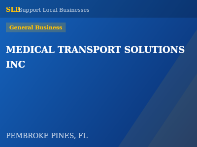 MEDICAL TRANSPORT SOLUTIONS INC — General Business in PEMBROKE PINES, FL