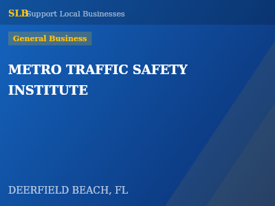 METRO TRAFFIC SAFETY INSTITUTE — General Business in DEERFIELD BEACH, FL