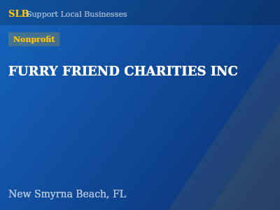 FURRY FRIEND CHARITIES INC — Nonprofit in New Smyrna Beach, FL