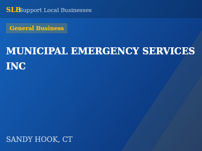 MUNICIPAL EMERGENCY SERVICES INC — General Business in SANDY HOOK, CT