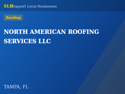 NORTH AMERICAN ROOFING SERVICES LLC — Roofing in TAMPA, FL