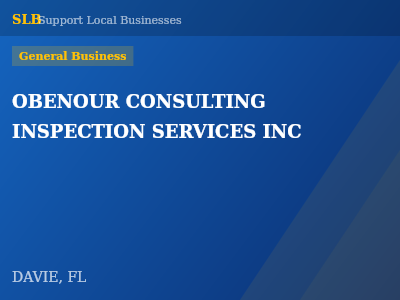 OBENOUR CONSULTING INSPECTION SERVICES INC — General Business in DAVIE, FL