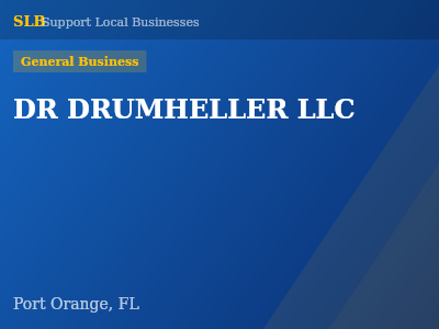 DR DRUMHELLER LLC — General Business in Port Orange, FL