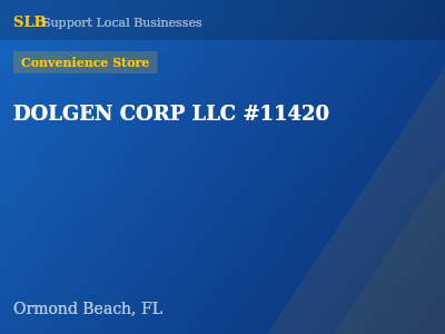 DOLGEN CORP LLC #11420 — Convenience Store in Ormond Beach, FL