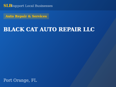 BLACK CAT AUTO REPAIR LLC — Auto Repair & Services in Port Orange, FL