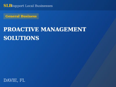 PROACTIVE MANAGEMENT SOLUTIONS — General Business in DAVIE, FL