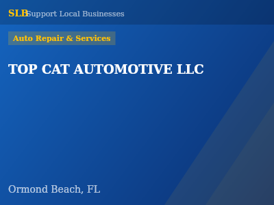 TOP CAT AUTOMOTIVE LLC — Auto Repair & Services in Ormond Beach, FL
