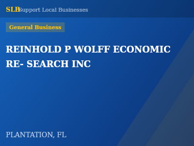 REINHOLD P WOLFF ECONOMIC RE- SEARCH INC — General Business in PLANTATION, FL