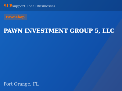 PAWN INVESTMENT GROUP 5, LLC — Pawnshop in Port Orange, FL