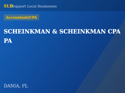 SCHEINKMAN & SCHEINKMAN CPA PA — Accountant/CPA in DANIA, FL