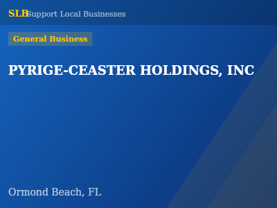 PYRIGE-CEASTER HOLDINGS, INC — General Business in Ormond Beach, FL