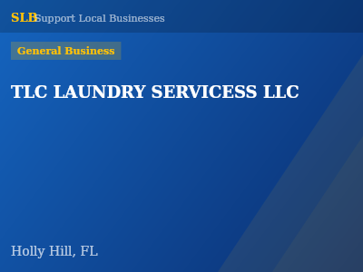 TLC LAUNDRY SERVICESS LLC — General Business in Holly Hill, FL