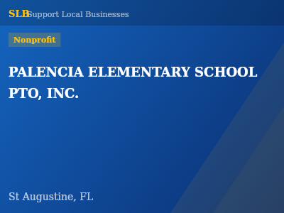 PALENCIA ELEMENTARY SCHOOL PTO, INC. — Nonprofit in St Augustine, FL