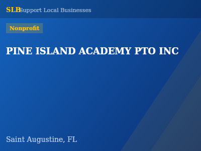 PINE ISLAND ACADEMY PTO INC — Nonprofit in Saint Augustine, FL