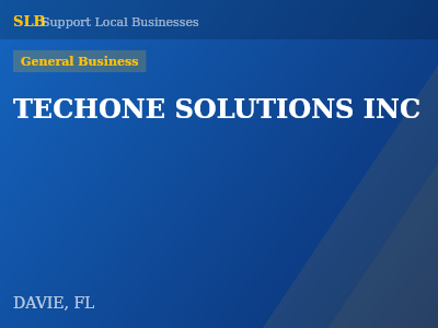 TECHONE SOLUTIONS INC — General Business in DAVIE, FL