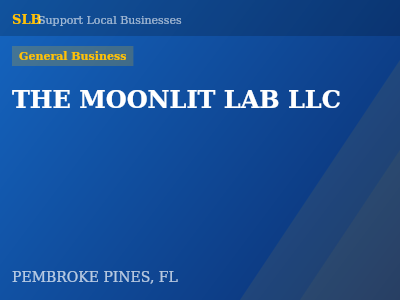 THE MOONLIT LAB LLC — General Business in PEMBROKE PINES, FL