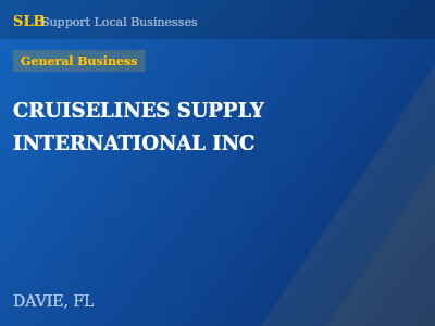 CRUISELINES SUPPLY INTERNATIONAL INC — General Business in DAVIE, FL