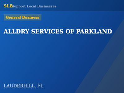 ALLDRY SERVICES OF PARKLAND — General Business in LAUDERHILL, FL