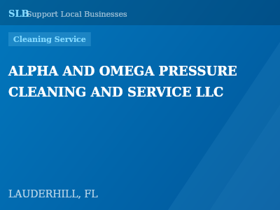 ALPHA AND OMEGA PRESSURE CLEANING AND SERVICE LLC — Cleaning Service in LAUDERHILL, FL