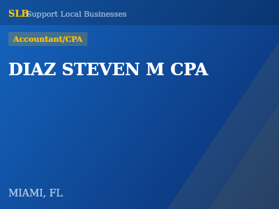DIAZ STEVEN M CPA — Accountant/CPA in MIAMI, FL