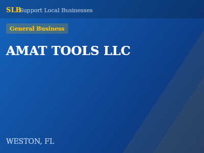 AMAT TOOLS LLC — General Business in WESTON, FL