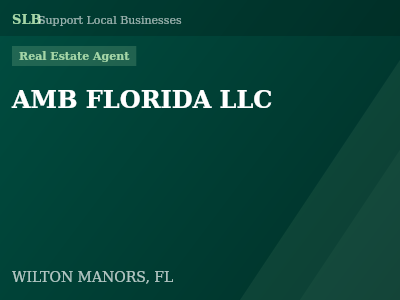 AMB FLORIDA LLC — Real Estate Agent in WILTON MANORS, FL