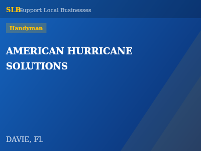 AMERICAN HURRICANE SOLUTIONS — Handyman in DAVIE, FL