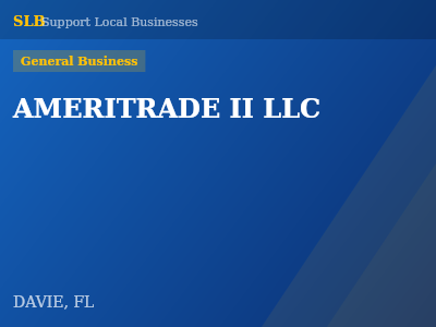AMERITRADE II LLC — General Business in DAVIE, FL