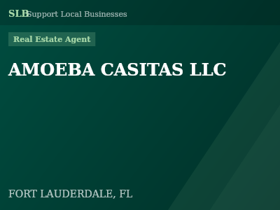 AMOEBA CASITAS LLC — Real Estate Agent in FORT LAUDERDALE, FL