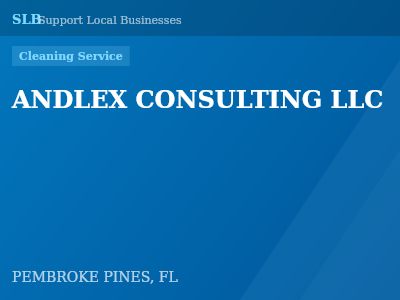 ANDLEX CONSULTING LLC — Cleaning Service in PEMBROKE PINES, FL