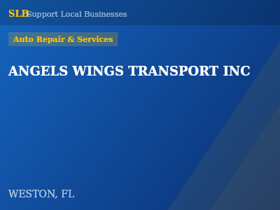ANGELS WINGS TRANSPORT INC — Auto Repair & Services in WESTON, FL