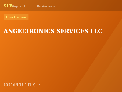 ANGELTRONICS SERVICES LLC — Electrician in COOPER CITY, FL