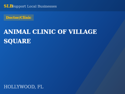 ANIMAL CLINIC OF VILLAGE SQUARE — Doctor/Clinic in HOLLYWOOD, FL