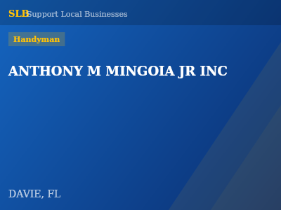 ANTHONY M MINGOIA JR INC — Handyman in DAVIE, FL