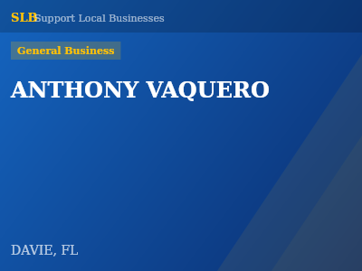 ANTHONY VAQUERO — General Business in DAVIE, FL