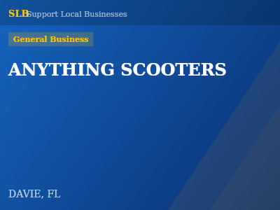ANYTHING SCOOTERS — General Business in DAVIE, FL