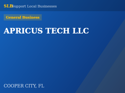 APRICUS TECH LLC — General Business in COOPER CITY, FL
