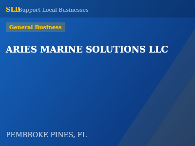 ARIES MARINE SOLUTIONS LLC — General Business in PEMBROKE PINES, FL