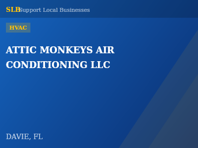ATTIC MONKEYS AIR CONDITIONING LLC — HVAC in DAVIE, FL