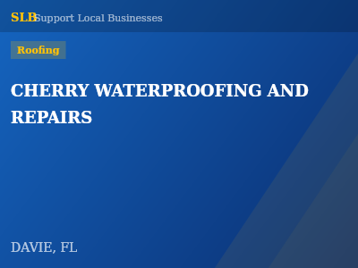 CHERRY WATERPROOFING AND REPAIRS — Roofing in DAVIE, FL